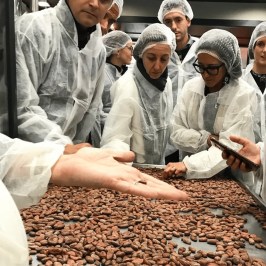 Chocolate Factory Tour & Tasting