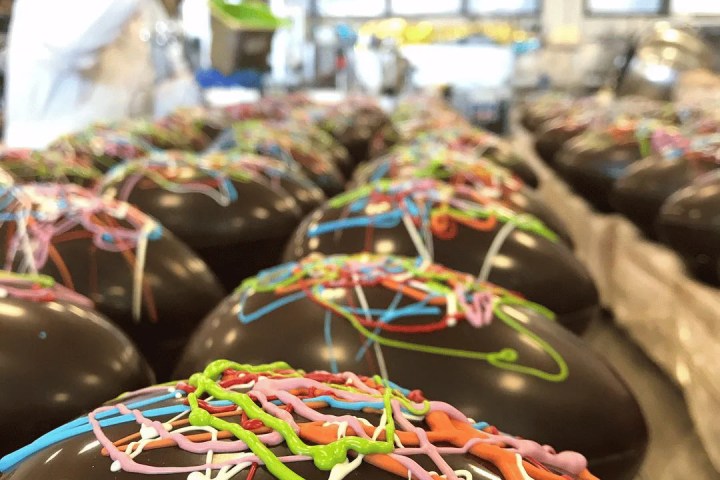 Chocolate Factory Tour & Tasting