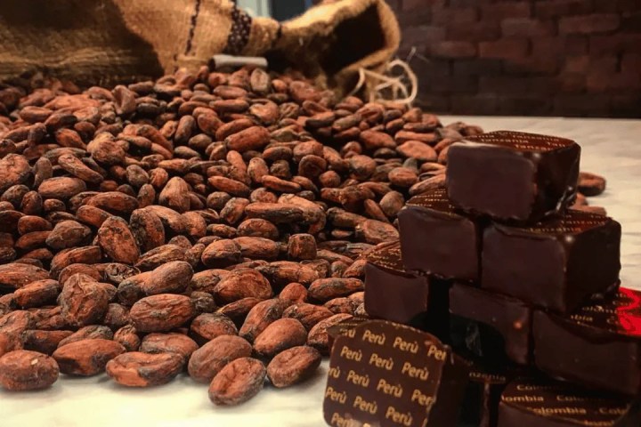 Chocolate Factory Tour & Tasting