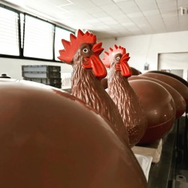 Chocolate Factory Tour & Tasting