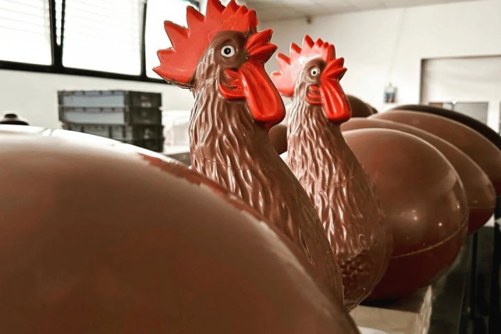 Chocolate Factory Tour & Tasting