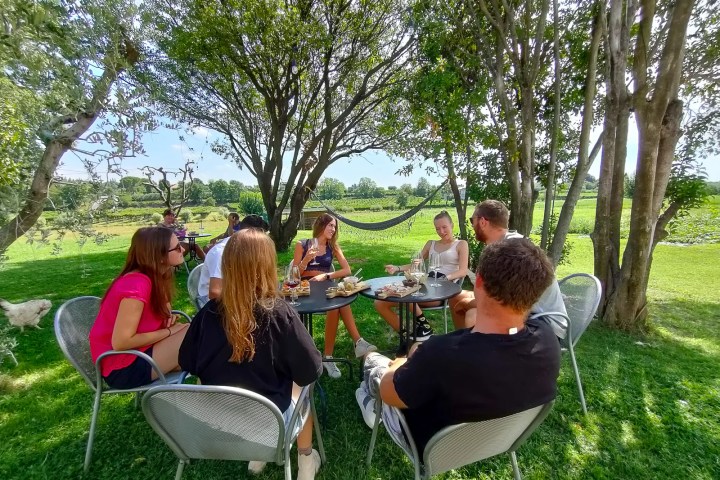 Lazise E-Bike Tour and Wine Tasting