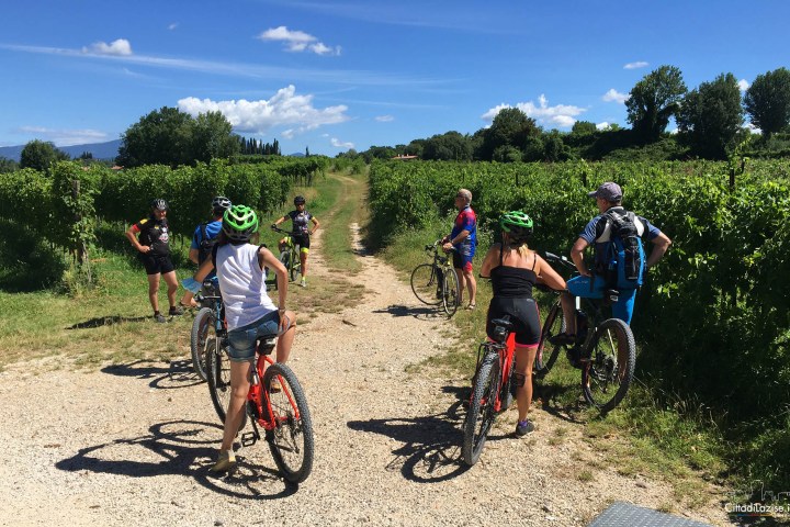 Lazise E-Bike Tour and Wine Tasting