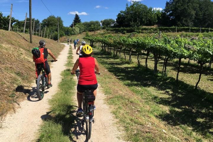 Lazise E-Bike Tour and Wine Tasting