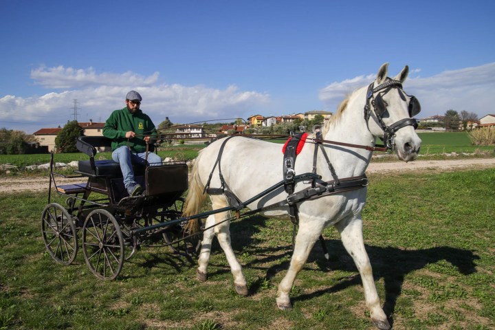 Lazise Horse Carriage Tour