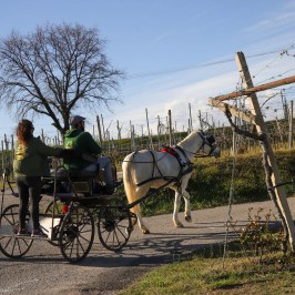 Lazise Horse Carriage Tour