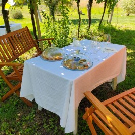 Lazise Horse Carriage Tour