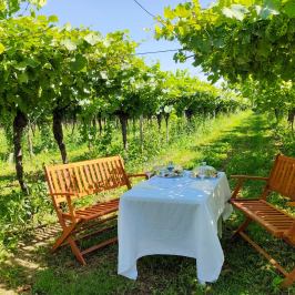 Lazise Horse Carriage Tour