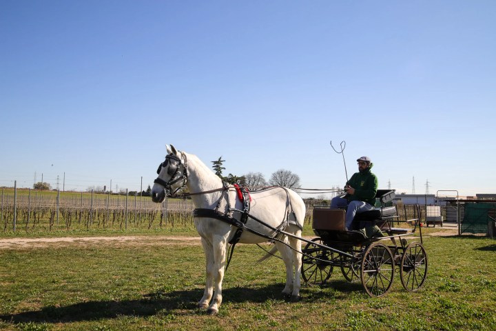 Lazise Horse Carriage Tour