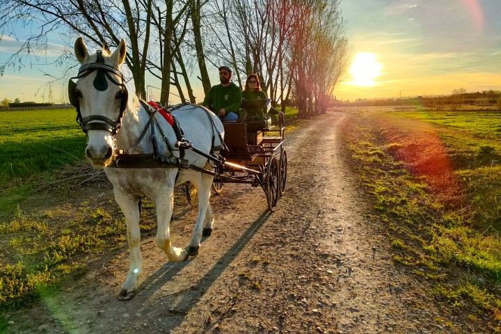 Lazise Horse Carriage Tour