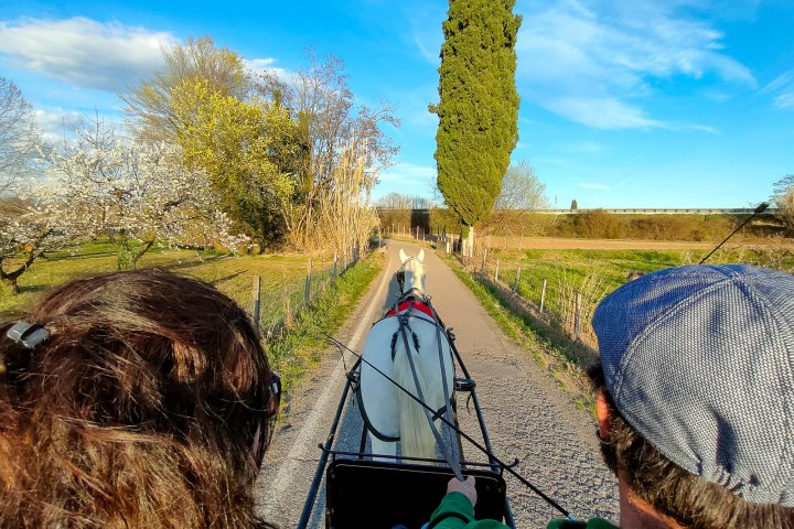 Lazise Horse Carriage Tour