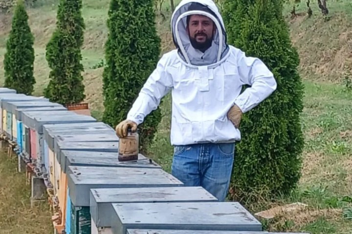 Monferrato Beekeeping Experience