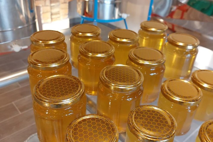 Monferrato Beekeeping Experience