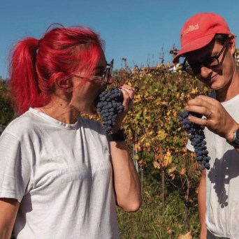Two people in a vineyard holding bunches of grapes, one eating, under a clear blue sky.