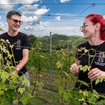 turin wine tasting tour