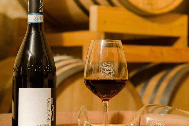 turin wine tasting tour