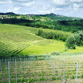 turin wine tasting tour