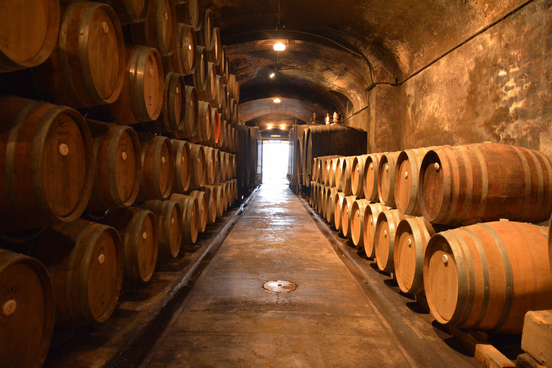 Tuscan Wine & Food Tour