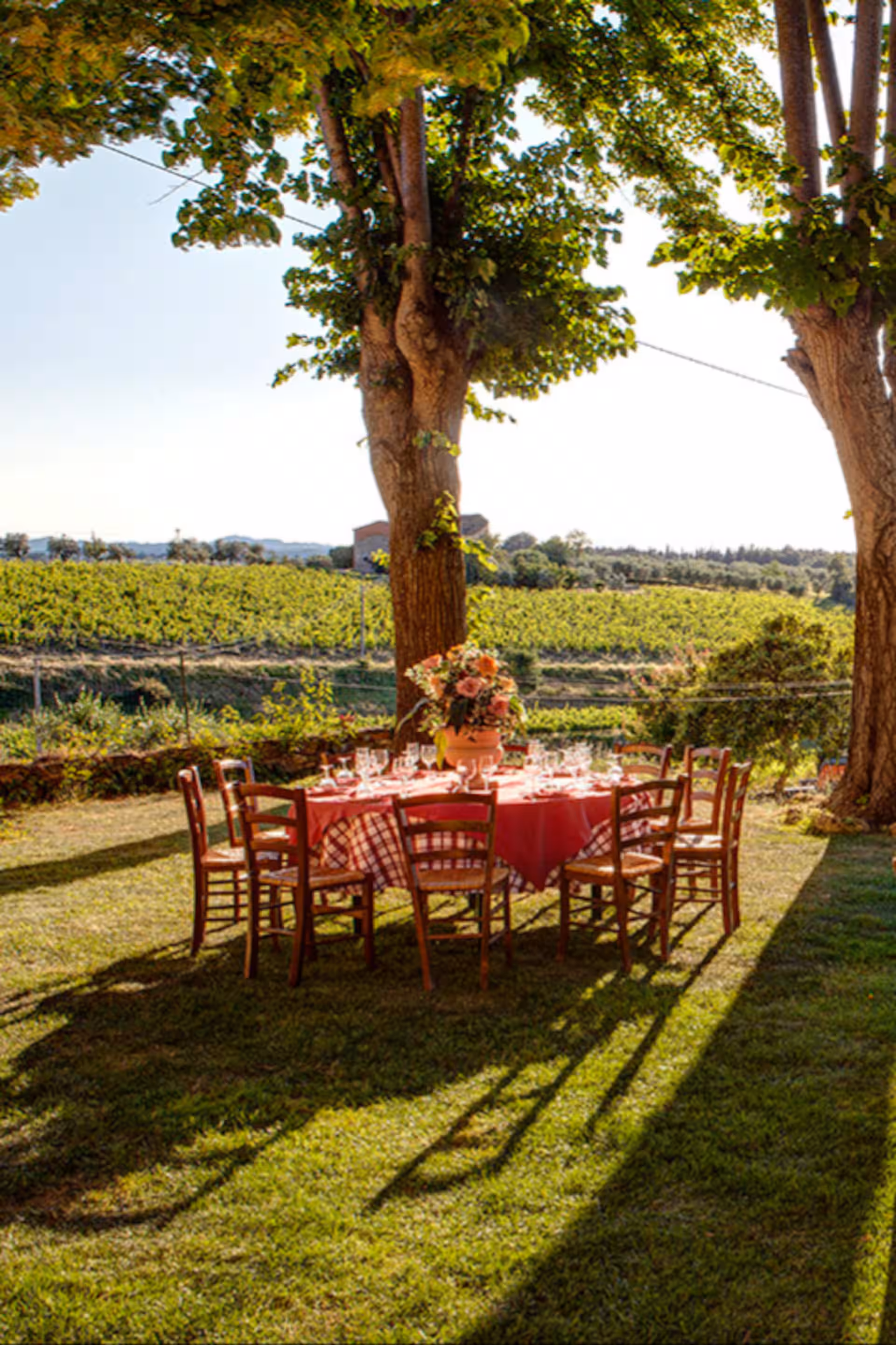 Tuscan Wine & Food Tour