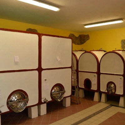 Tortona wine tasting