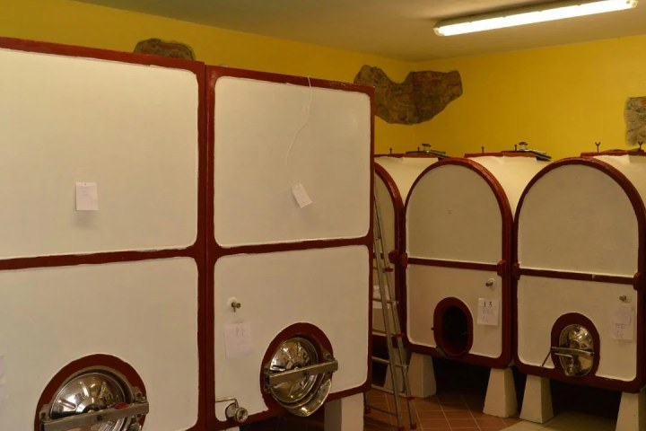 Tortona wine tasting