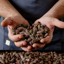 Turin Chocolate Factory Guided Tour & Tasting