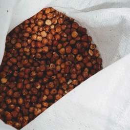 Turin Chocolate Factory Guided Tour & Tasting