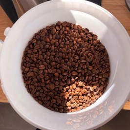 Turin Coffee Roastery Tasting