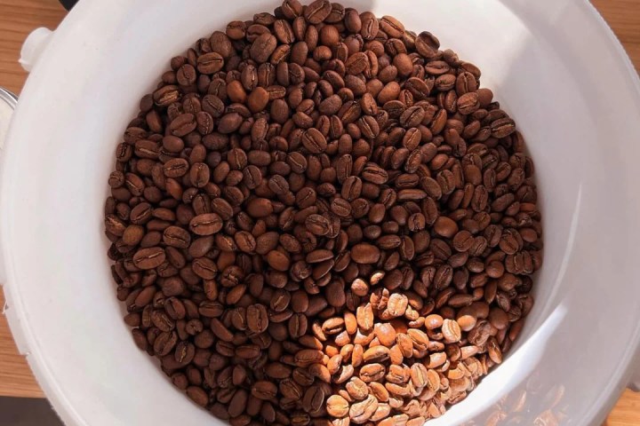 Turin Coffee Roastery Tasting