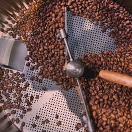 Turin Coffee Roastery Tasting