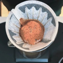 Turin Coffee Roastery Tasting