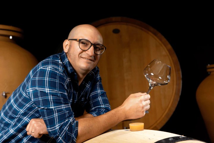 turin organic winery tour