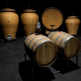 turin organic winery tour