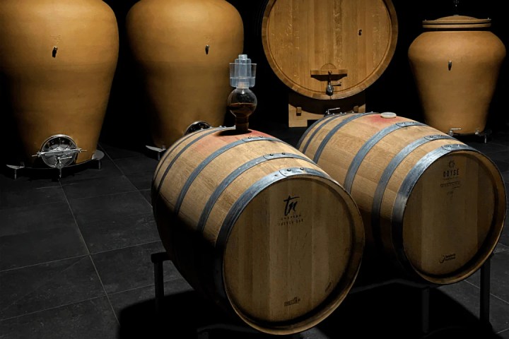 turin organic winery tour