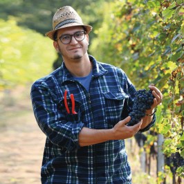 turin organic winery tour