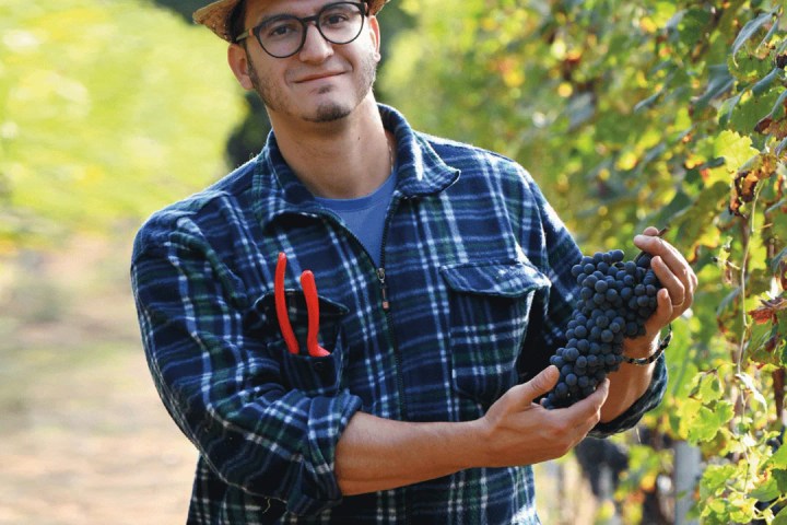 turin organic winery tour