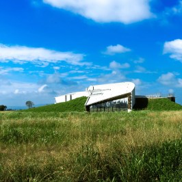 turin organic winery tour