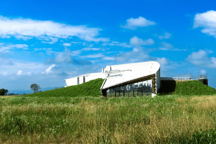 turin organic winery tour