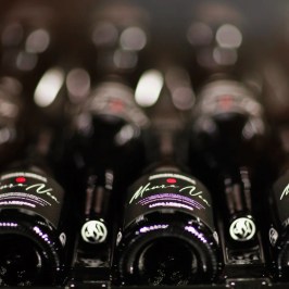 turin organic winery tour