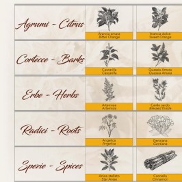 Turin Vermouth Tasting Experience