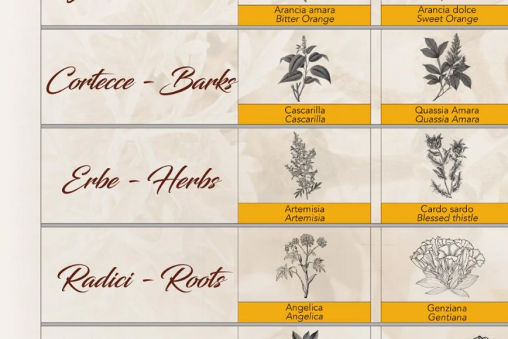 Turin Vermouth Tasting Experience