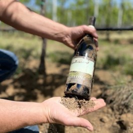 Valpolicella wine tour