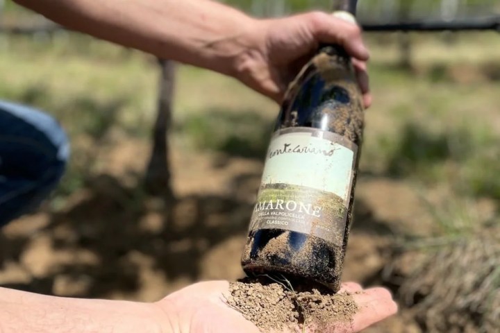 Valpolicella wine tour