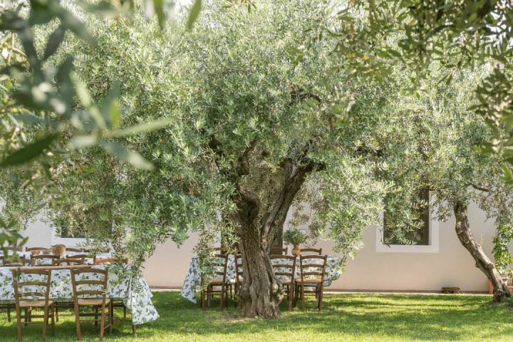 Verona Olive Mill Tour and Tasting