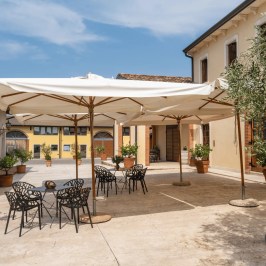 Verona Olive Mill Tour and Tasting