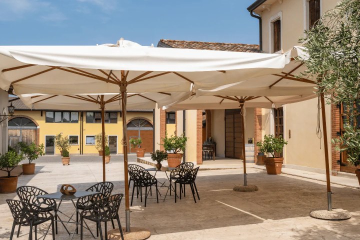 Verona Olive Mill Tour and Tasting