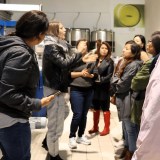 Verona Olive Mill Tour and Tasting