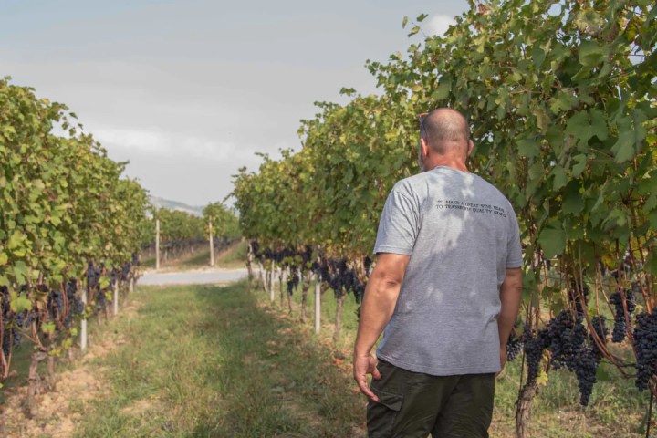 neive wine tasting tour