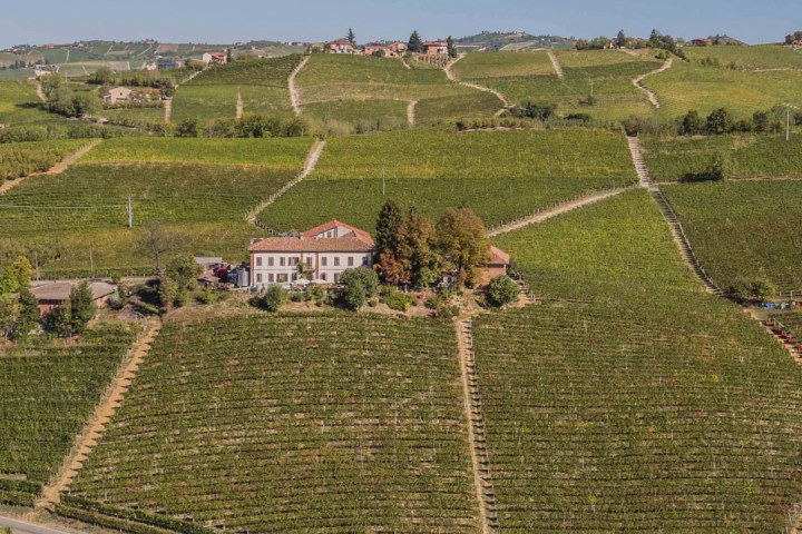 neive wine tasting tour