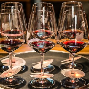 Chianti wine and olive tour in Italy